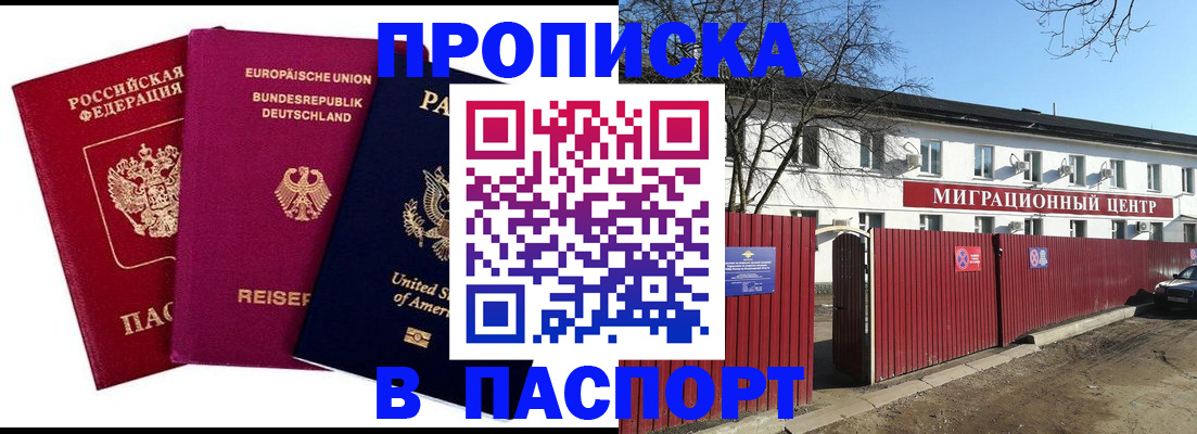 прописка в квартире в Камышлове